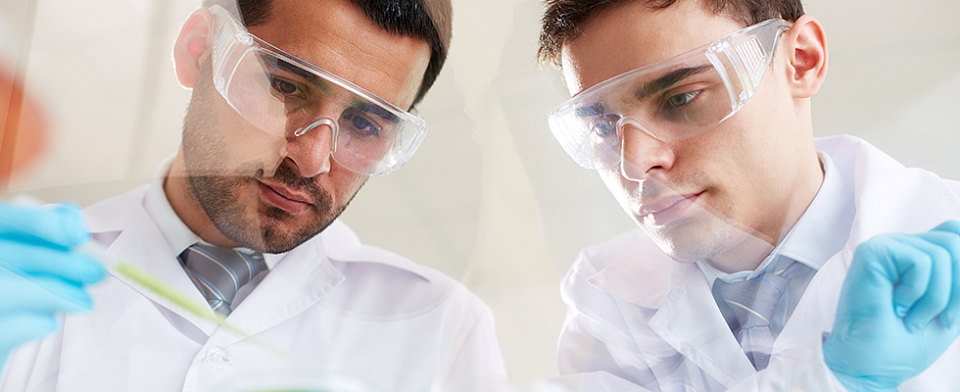 Navicon завершил проект автоматизации обработки данных вторичных продаж в Bayer
